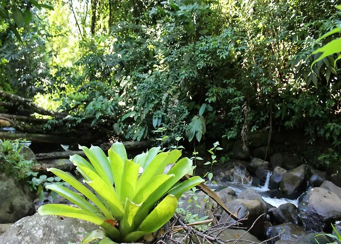 Agua 3* Nuevo Arenal