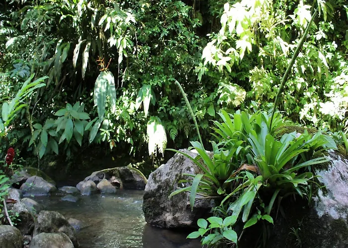 Agua Hotel 3*