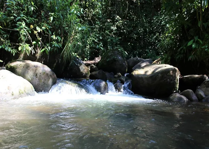 Agua 3*