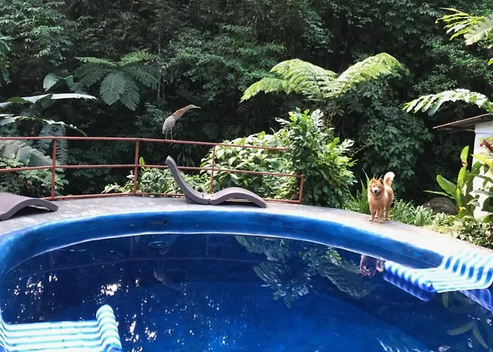 Agua Nuevo Arenal