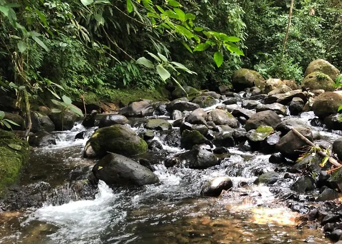 Agua 3* Nuevo Arenal